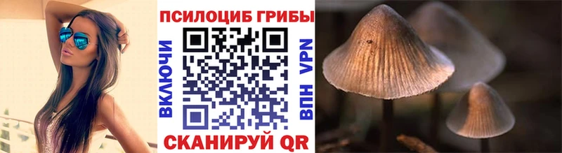 где купить наркотик Георгиевск Галлюциногенные грибы прущие грибы
