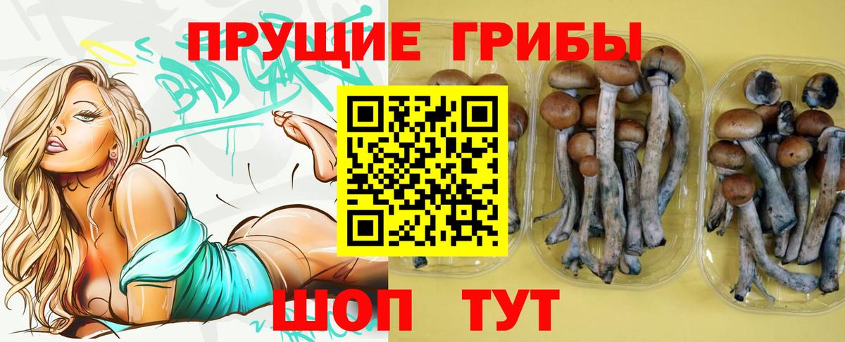 Георгиевск  дарнет шоп  Вход с VPN  Галлюциногенные грибы Cubensis 