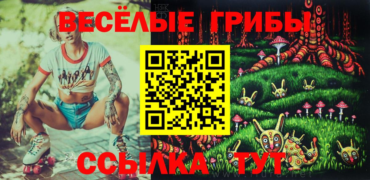Псилоцибиновые грибы Cubensis Георгиевск