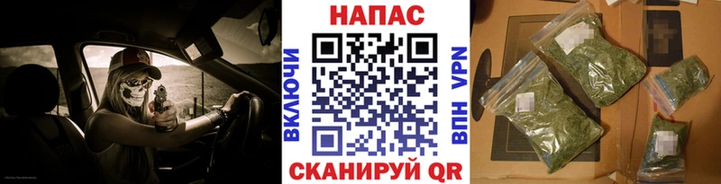 Канабис конопля Георгиевск